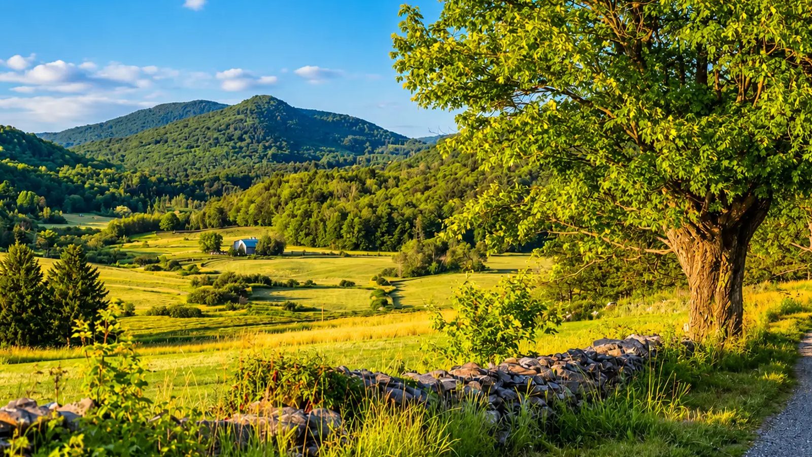 Cowansville en images : un coin de la ville (Estrie)